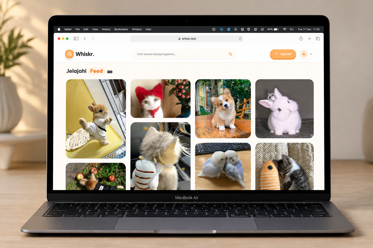 Whiskr Project Mockup